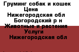 Груминг собак и кошек › Цена ­ 200 - Нижегородская обл., Богородский р-н Животные и растения » Услуги   . Нижегородская обл.